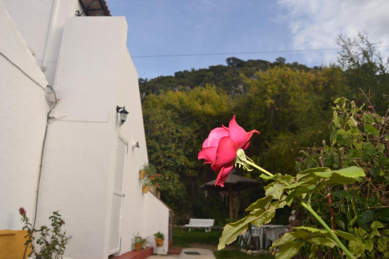 エル・ボスケ Casa La Cascadaヴィラ エクステリア 写真